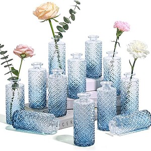 Gradient Glass Vases